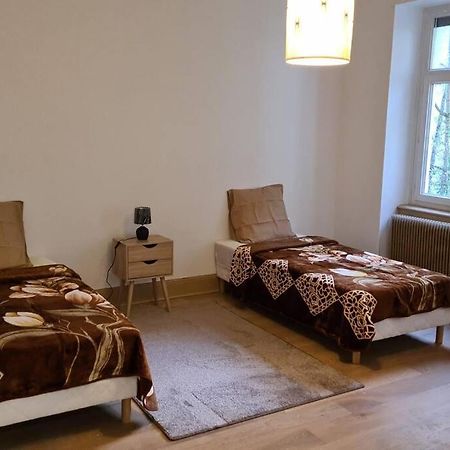 Grand 4P Strasbourg Orangerie 7 Personnes Proche D Allemagne Exteriör bild