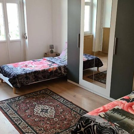 Grand 4P Strasbourg Orangerie 7 Personnes Proche D Allemagne Exteriör bild